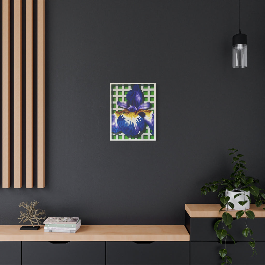 Iris 1 Painting - Canvas Print