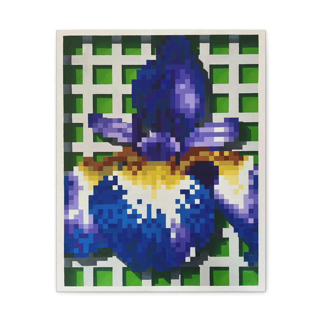Iris 1 Painting - Canvas Print