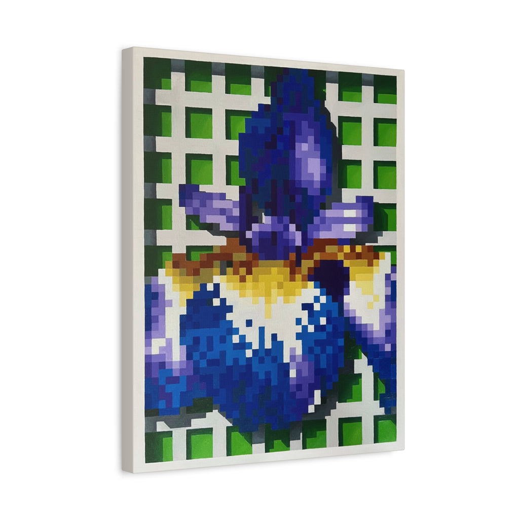 Iris 1 Painting - Canvas Print