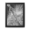 Framed Canvas Print - Rebirth