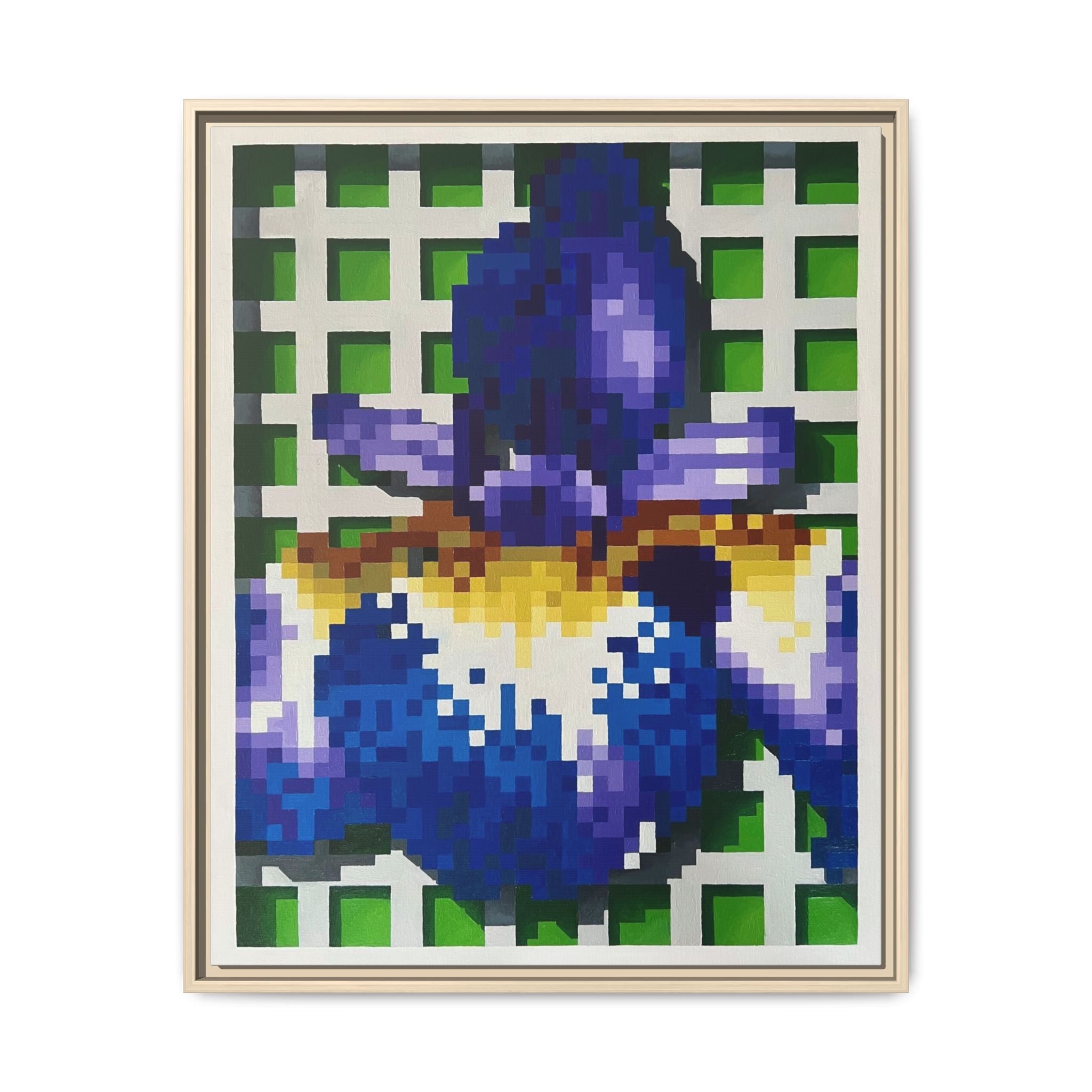 Iris 1 Painting - Framed Canvas Print