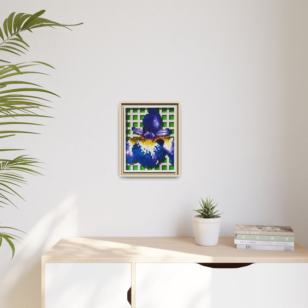 Iris 1 Painting - Framed Canvas Print