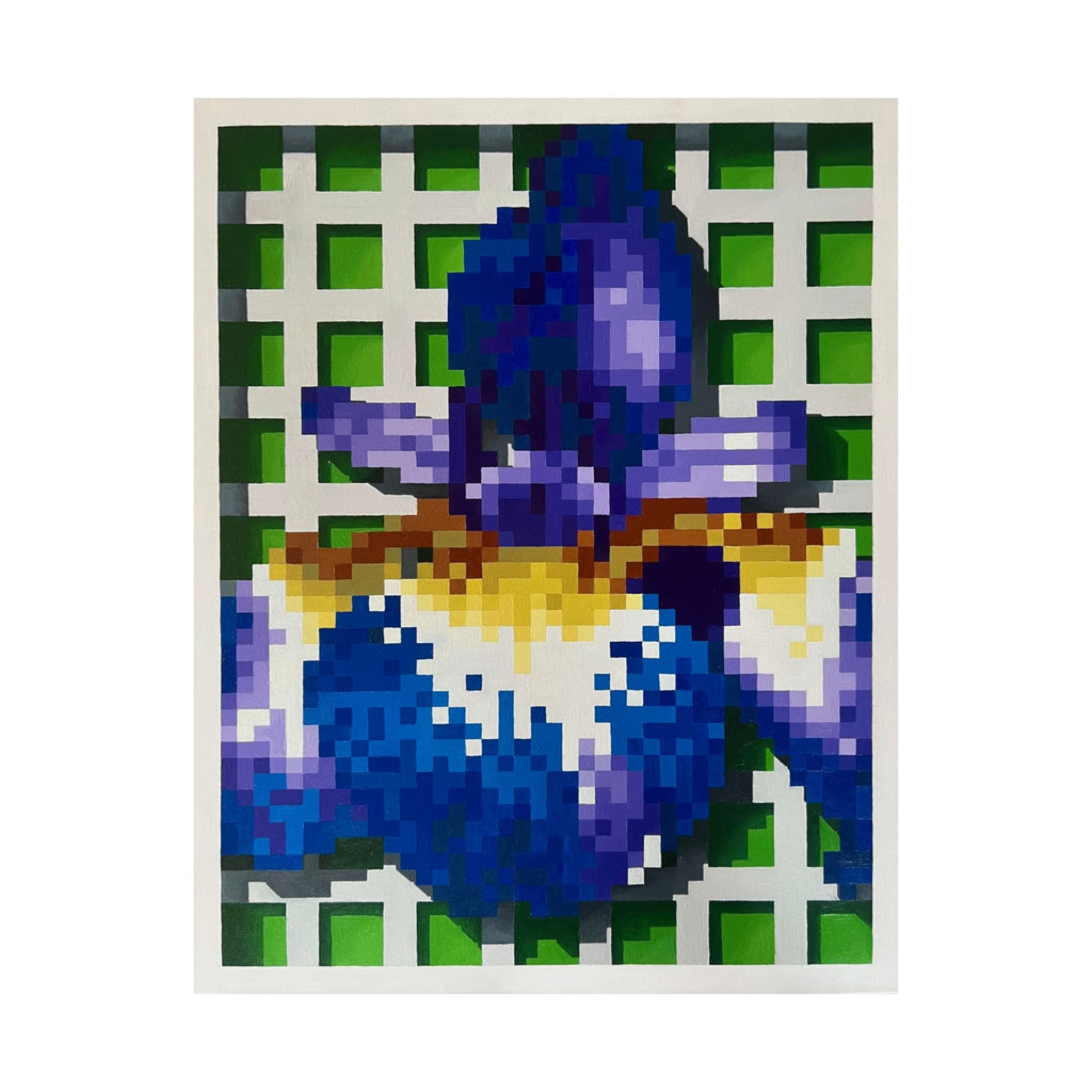 Poster - Iris 1 Painting